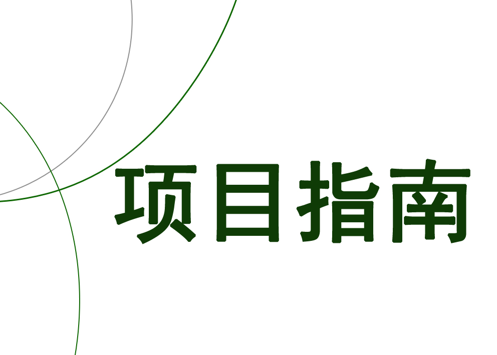 项目指南